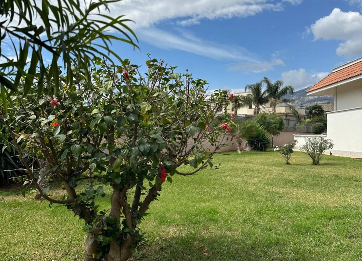 Apartment Villa Sara Mondello Garden Level Palermo
